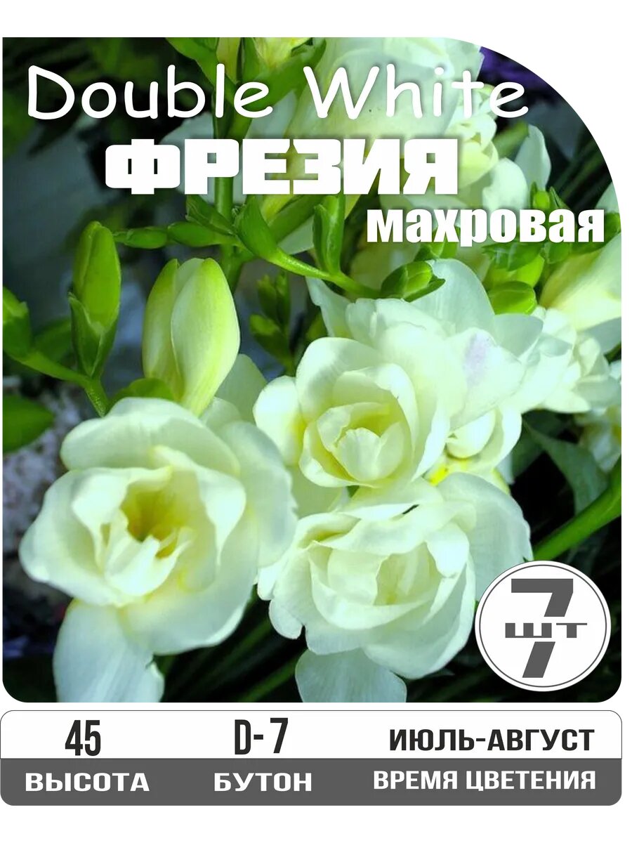 Луковицы фрезии "Дабл Уайт" белые махровые многолетние 7 шт Eywa