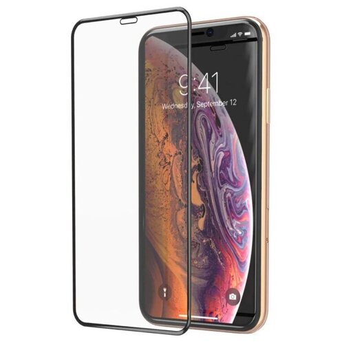 Защитное стекло 3D iPhone X/XS/11 Pro матовое, черный