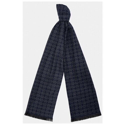 фото Шарф мужской синий ralf ringer