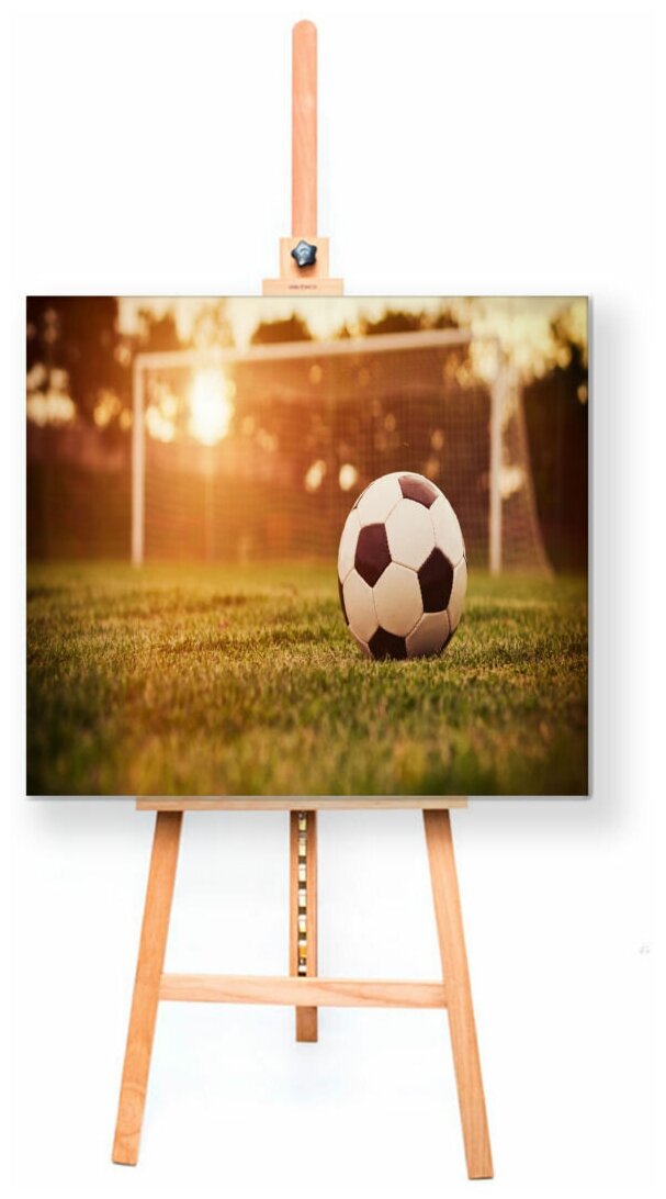Интерьерная картина Coolpodarok Футбол Футбольный мяч Ворота Поле Трава