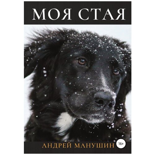 Моя Стая