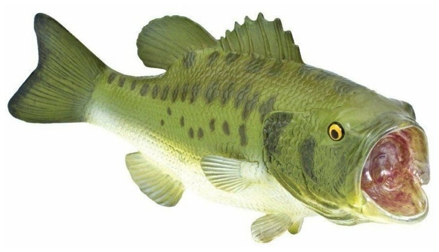 Фигурка игрушка Бас большеротый, XL Рыбы Large Mouth Bass Safari Ltd 265629