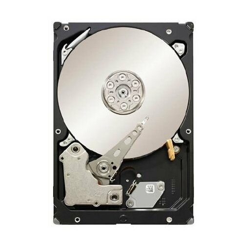 Seagate ST31000524NS