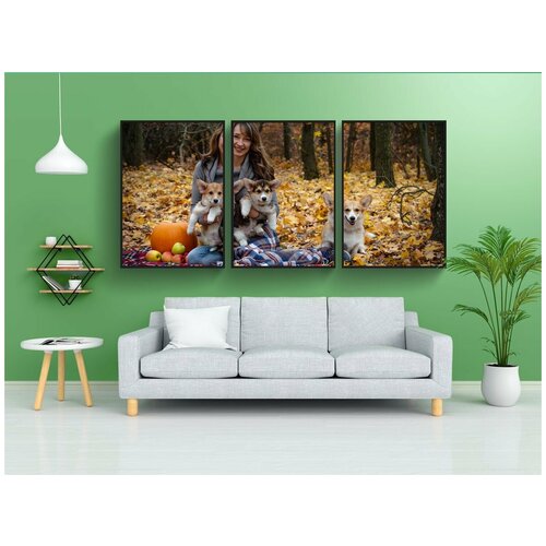 фото Набор модулных постеров для интерьера "вельш корги пемброк, корги, собака" 60x90 см. в тубусе, без рамки lotsprints