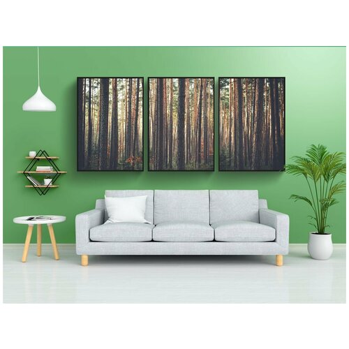 фото Набор модулных постеров для интерьера "деревья, лес, чаща" 60x90 см. в тубусе, без рамки lotsprints