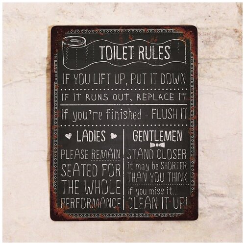 Табличка для туалета Toilet rules, металл, 20х30 см