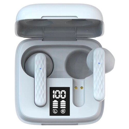 BandRate Smart BRSTWSPRO99W 306000₽