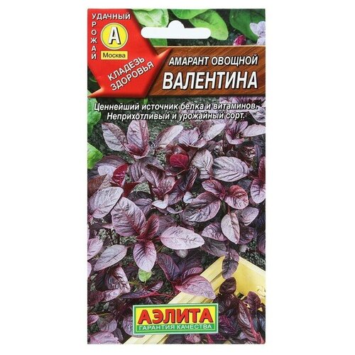 Семена Амарант овощной Валентина, 0,3 г семена гавриш амарант овощной валентина 1 г
