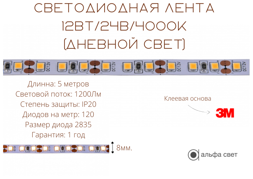 Светодиодная лента, Подсветка, 12Вт, 24В, 4000к, 120Днм, 5 метров (Дневной свет) Одноцветная светодиодная лента, Альфа Свет - фотография № 2