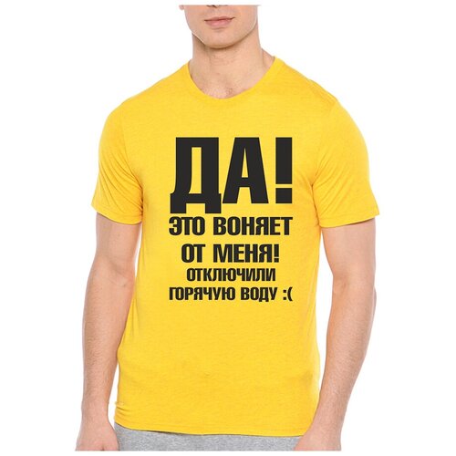 фото Футболка да! это воняет от меня!. цвет: желтый. размер: m drabs
