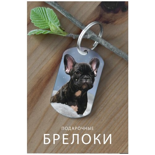 фото Брелок для ключей животные, подарок мужчине на день рождения, брелок мужской женский, брелок детский на сумку рюкзак, подарок zhenya cloud