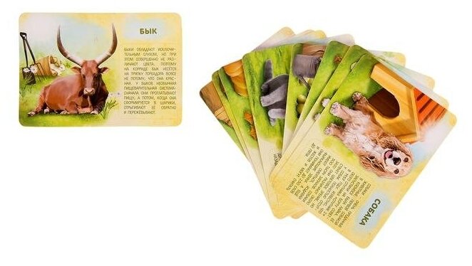 Набор животных с обучающими карточками "Фермерское хозяйство", 10 животных