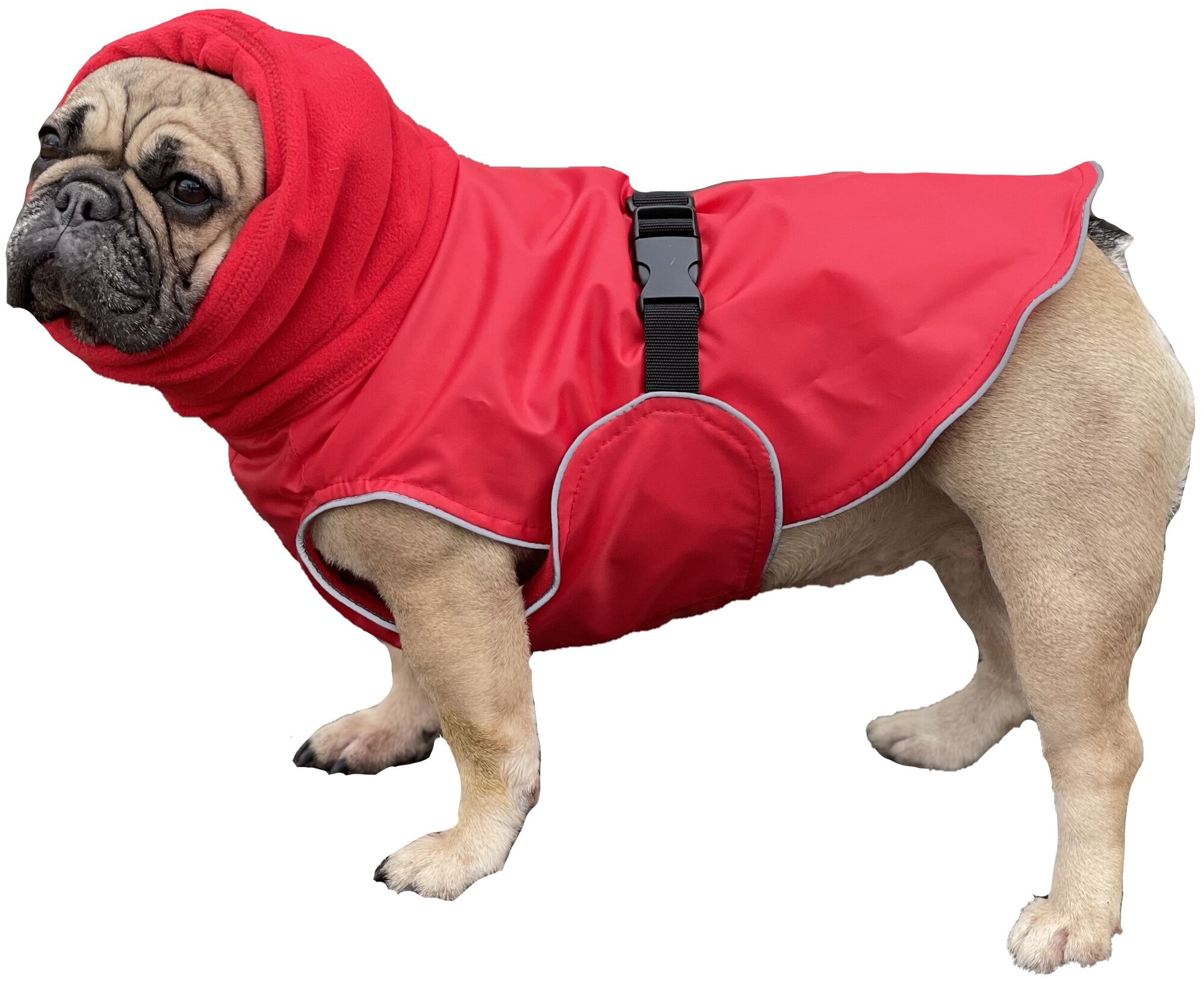 Попона для собак породы французcкий бульдог, красный, размер L - фотография № 4