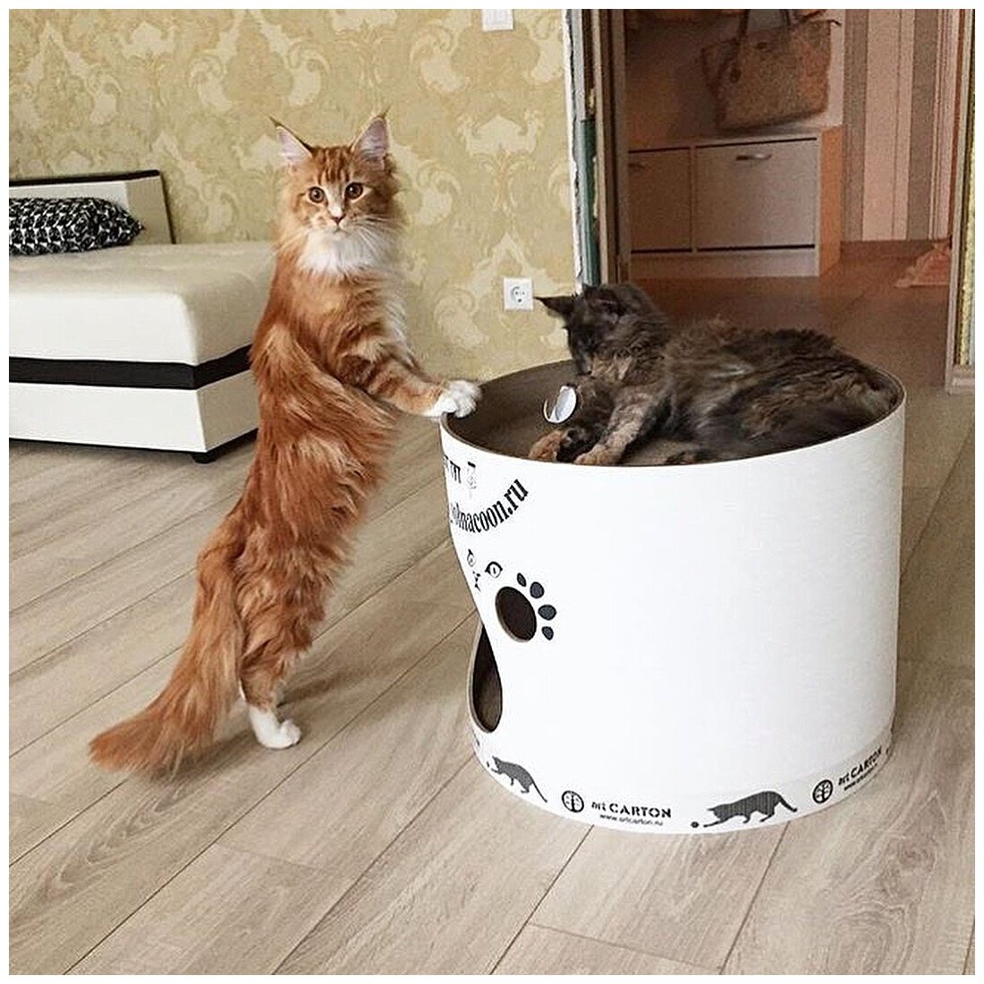 Домик с когтеточкой из картона TOWER диаметр 41 см арткартон для крупных кошек до 6 кг с двумя уровнями и жестким бортиком. Срок службы до 5-ти лет. - фотография № 16