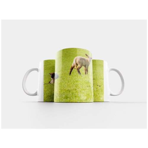 фото Кружка "ягненок, овец, ягнята" 320 мл lotsprints