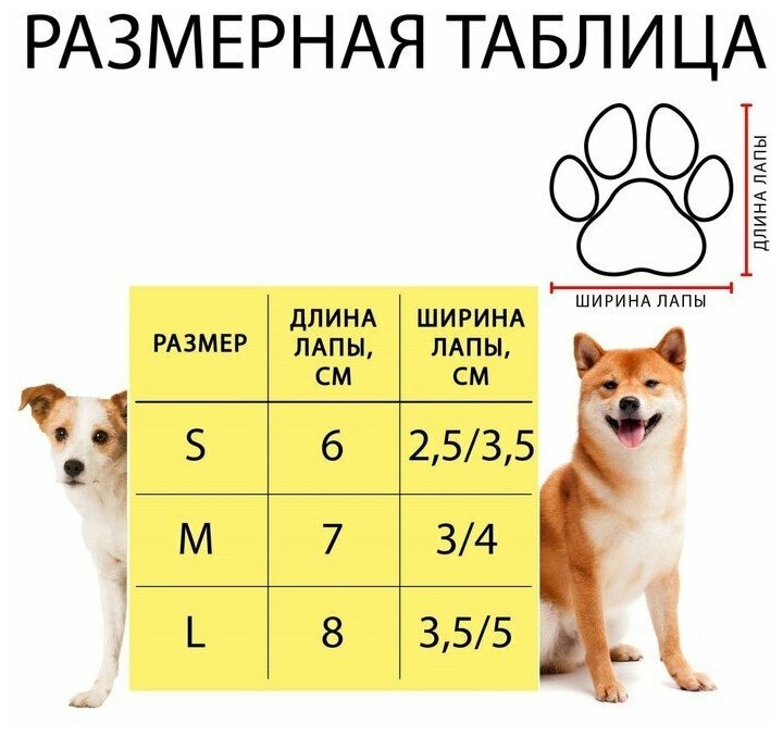 Носки для собак Пижон Снежинка , S унисекс - фотография № 5