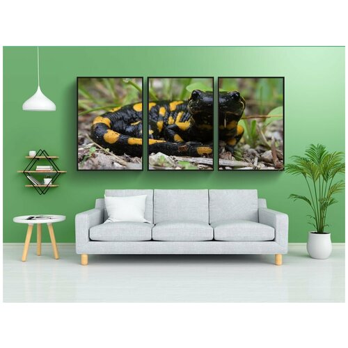 фото Набор модулных постеров для интерьера "огненная саламандра, амфибия, животное" 60x90 см. в тубусе, без рамки lotsprints