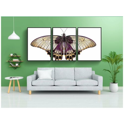 фото Набор модулных постеров для интерьера "природа, животные, бабочка" 60x90 см. в тубусе, без рамки lotsprints