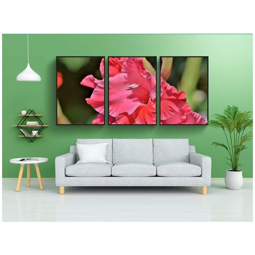 фото Набор модулных постеров для интерьера "гладиолус, gladidus, бабочка теплицы" 60x90 см. в тубусе, без рамки lotsprints