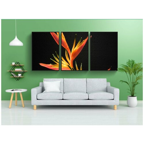 фото Набор модулных постеров для интерьера "райская птица цветок, хвостатые, цвести" 60x90 см. в тубусе, без рамки lotsprints