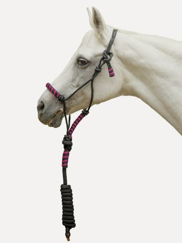 Изображение товара Sweethorse / Недоуздок веревочный с чомбуром, Full, черно-розовый