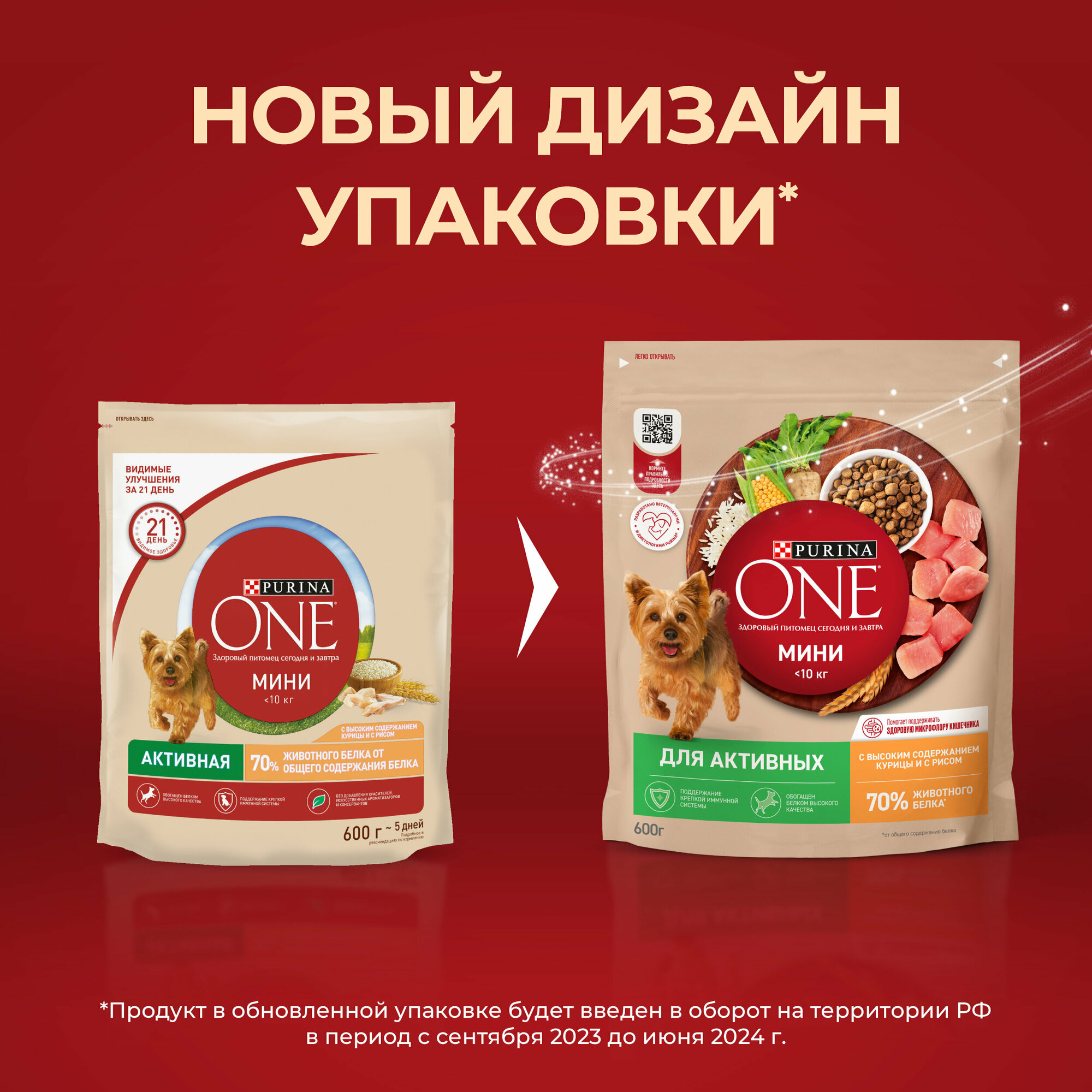 Сухой корм Purina ONE® мини для активных собак мелких пород с курицей и рисом, 600 г — фото 1