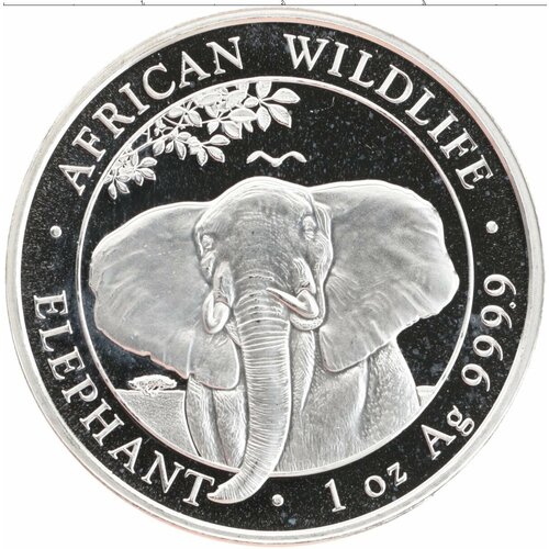 Клуб Нумизмат Монета 100 шиллингов Сомали 2021 года Серебро Африканская дикая природа - Африканский слон