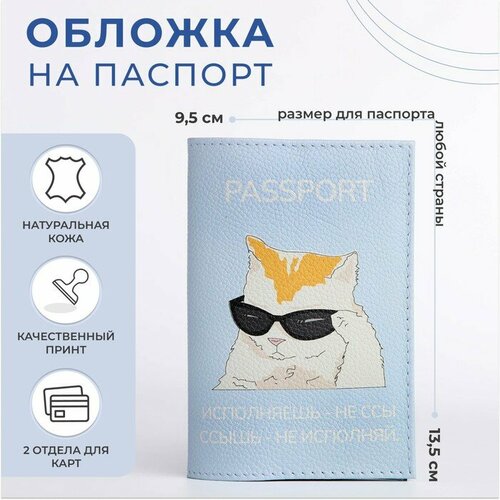 Обложка для паспорта , голубой, мультиколор