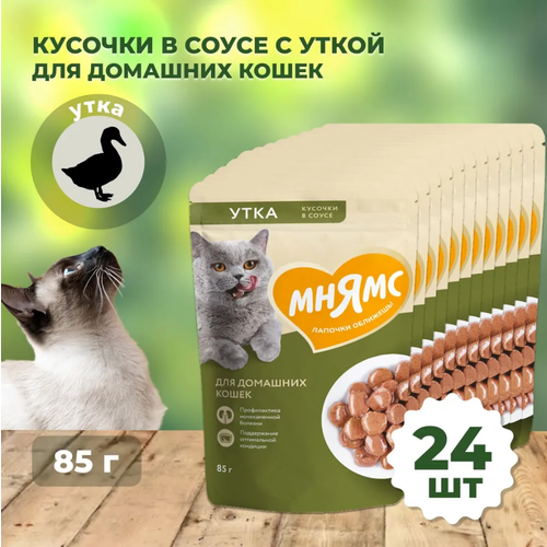 Мнямс пауч Кусочки в соусе с уткой для домашних кошек 85г (1*24)
