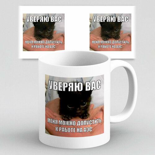 Кружка с приколом мем котик Уверяю вас меня можно допустить