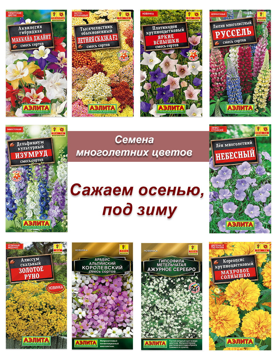 Семена многолетников набор семян многолетних цветов