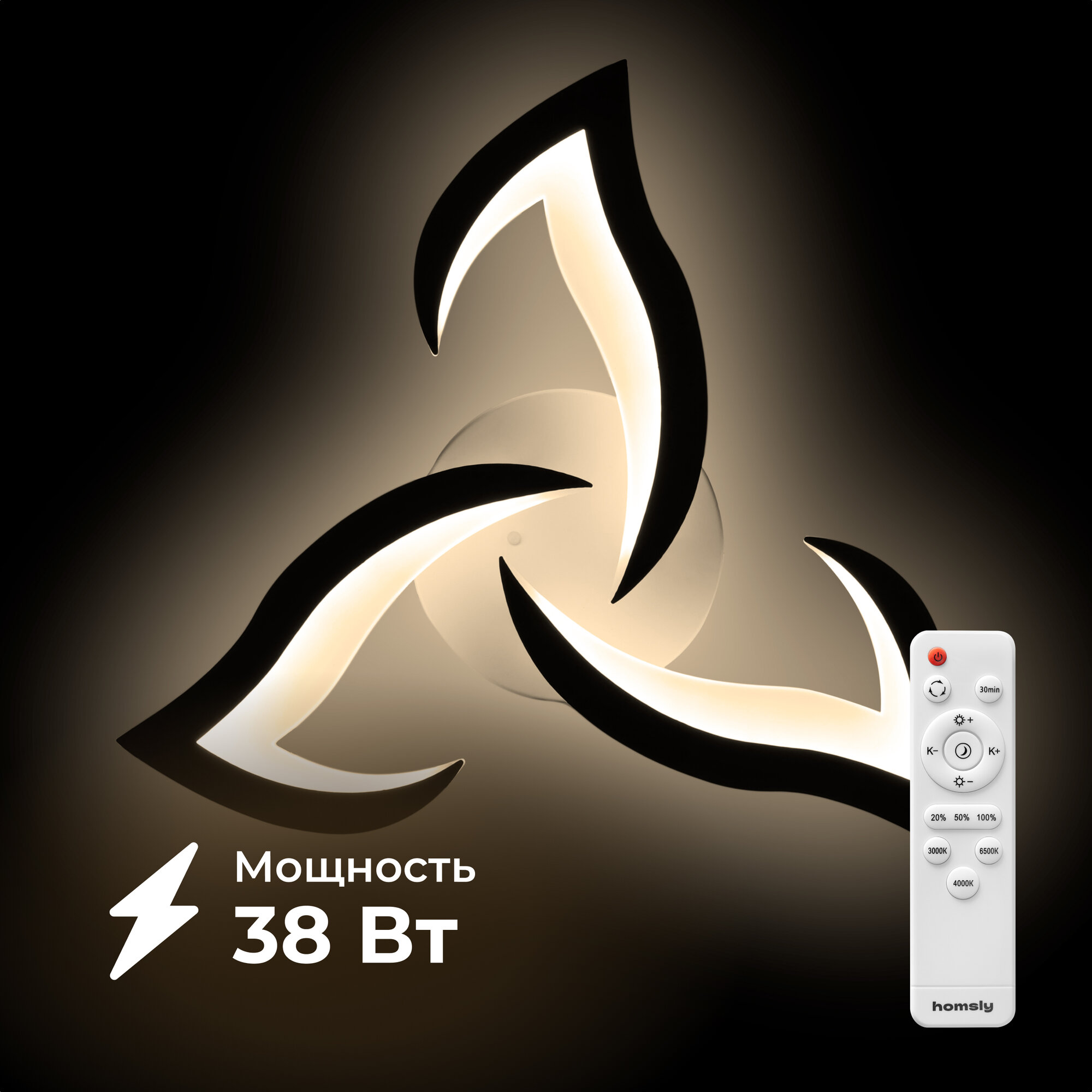 Люстра светодиодная Homsly, 38 вт, ACL_024, с пультом дистанционного управления