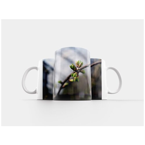 фото Кружка "цветок, природа, флора" 320 мл lotsprints