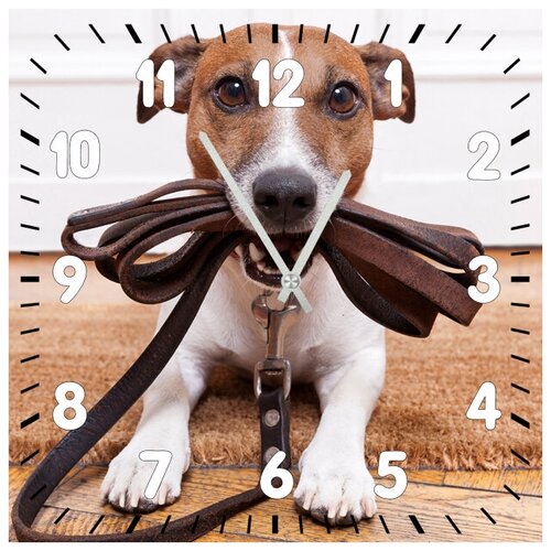 фото Svs настенные часы svs 3502035 пес с ремнем в зубах