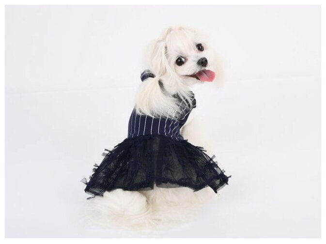 Толстовка с юбкой для собак Pinkaholic "VIDA", синяя, L (Южная Корея) - фотография № 3