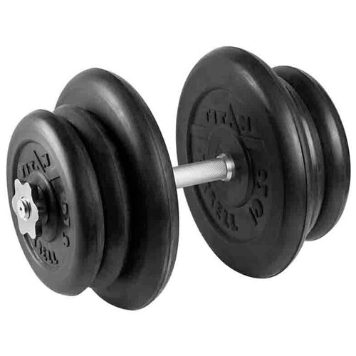 Гантель разборная 42 кг TITAN Barbell - d26, Комплектация №1 с железной ручкой