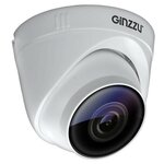 IP камера Ginzzu HID-2301A - изображение