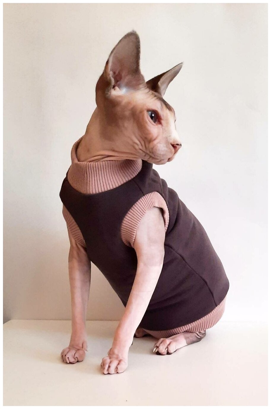 Свитшот для кошек, размер 30 (длина спины 30см), цвет шоколад+беж / толстовка свитшот свитер для кошек сфинкс / одежда для животных - фотография № 5