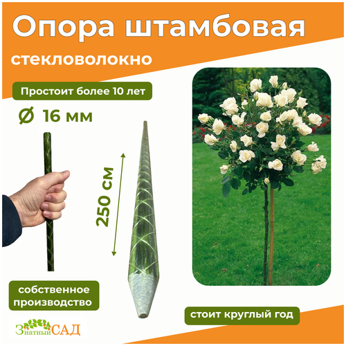 роза метро на штамбе 110 см Опора для штамбовых растений Знатный сад, 2,5 м/диаметр 16 мм/стекловолокно
