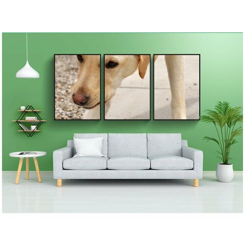 фото Набор модулных постеров для интерьера "лабрадор, собака, милый" 60x90 см. в тубусе, без рамки lotsprints