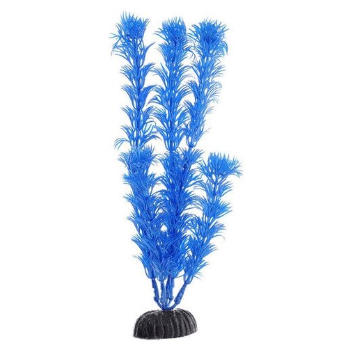 Растение Кабомба сине-фиолетовая пластик 55см