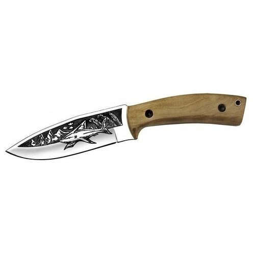 нож кизляр акула Охотничий нож Акула-2, сталь AUS8, рукоять орех