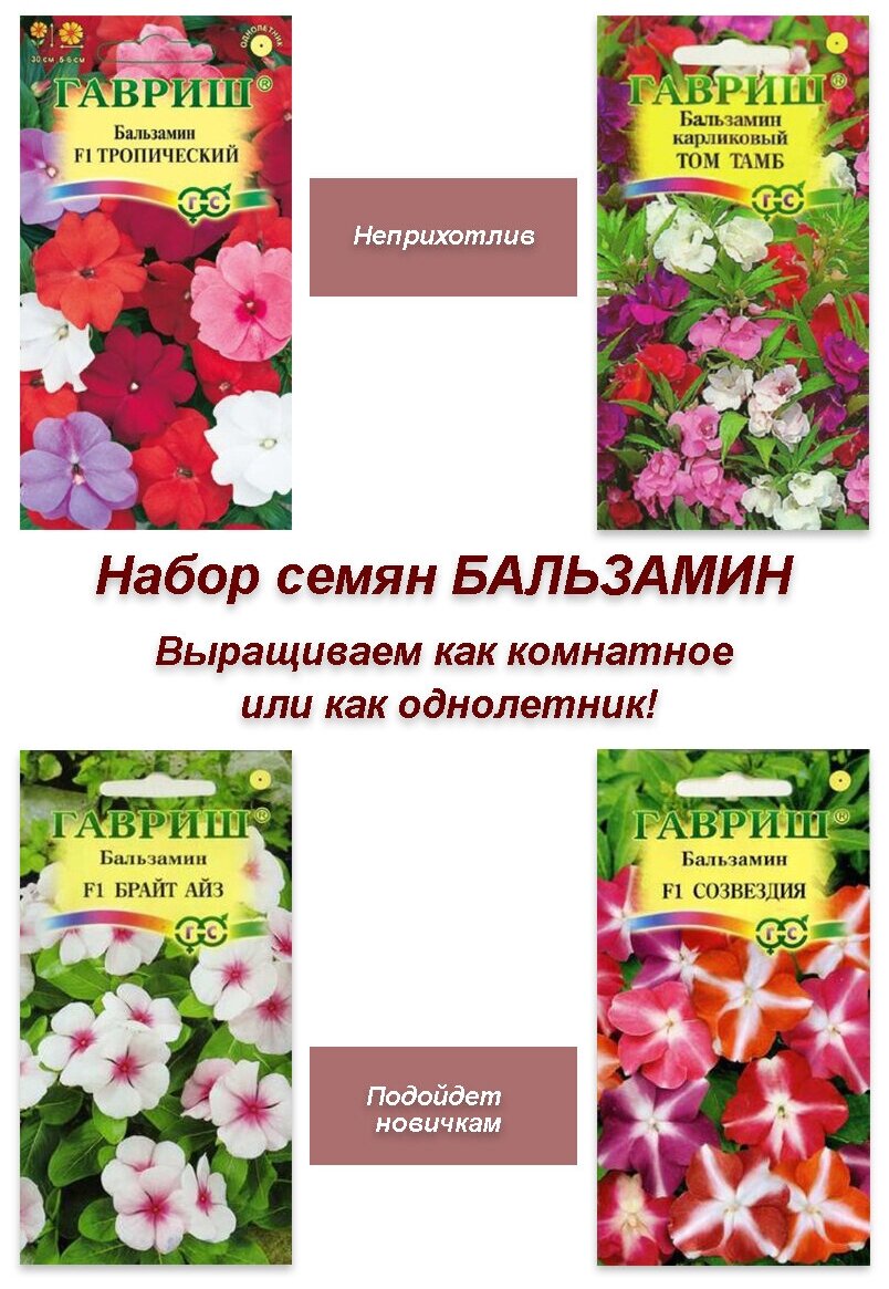 Набор семян семена комнатных цветов Бальзамин 4 пакета