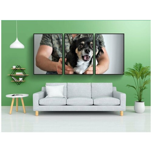 фото Набор модулных постеров для интерьера "чиуауа, страшно, пораженный" 60x90 см. в тубусе, без рамки lotsprints