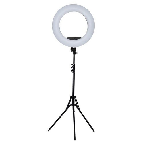 OKIRO Кольцевая светодиодная лампа FE 480 PRO WHT со штативом держателем для телефона сумкой пультом и зеркалом 2253900₽