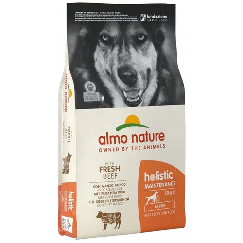 Сухой корм для собак Almo Nature Holistic, говядина, с рисом 1 уп. х 1 шт. х 12 кг (для крупных пород) сухой корм для собак almo nature holistic лосось с рисом 1 уп х 5 шт х 2 кг для крупных пород