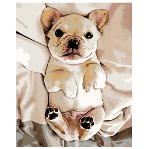 фото Картина по номерам, 60 x 75, z- z4742, "живопись по номерам", набор для раскрашивания, раскраска