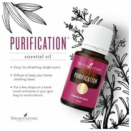 Young Living Смесь эфирных масел Purification (Очищение) Пурификейшн 5 мл