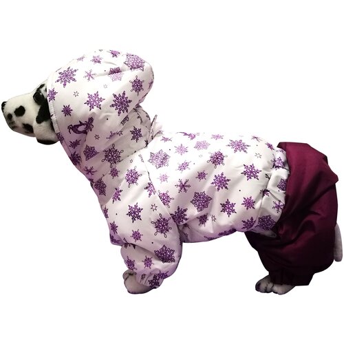 Зимний комбинезон 