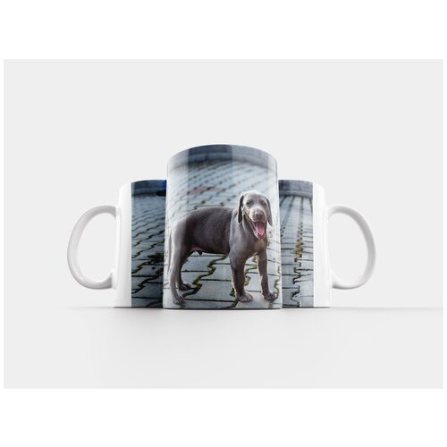 фото Кружка "щенок, веймаранер, собака" 320 мл lotsprints